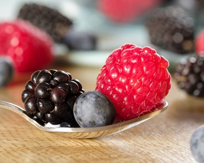 Alterações Climáticas: Que desafios se colocam à fileira dos pequenos frutos?
