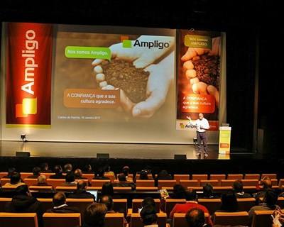 AMPLIGO: o novo inseticida Syngenta para grandes culturas extensivas