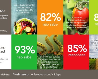 ANIPLA convida consumidores a conhecer a realidade agrícola