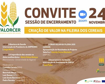 ANPOC e ANPROMIS realizam webinar sobre a importância dos cereais na Dieta Mediterrânica