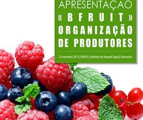 Apresentação BFRUIT ORGANIZAÇÃO DE PRODUTORES | 23 de Novembro