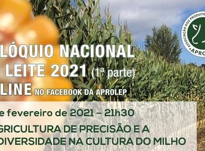 APROLEP realiza Colóquio Nacional do Leite 2021 com foco na cultura do Milho