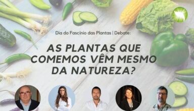 “As plantas que comemos vêm mesmo da natureza?”