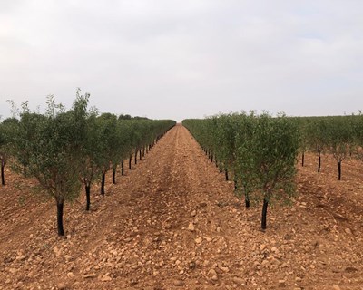 As soluções de rega na Agroglobal 2020