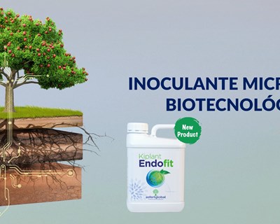 Asfertglobal lança o novo inoculante microbiano: Kiplant Endofit