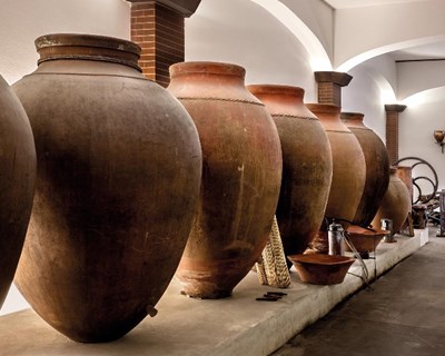 Assinado protocolo de colaboração para preparar candidatura do Vinho de Talha à UNESCO