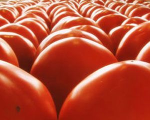 AIT contribui para Estratégia Científica do Ministério da Agricultura