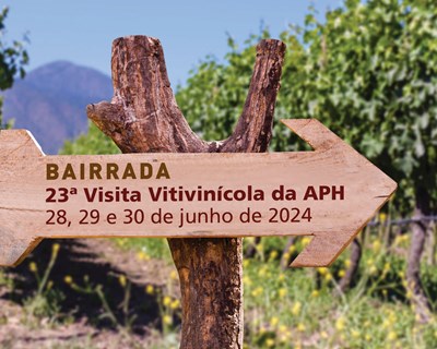 Associação Portuguesa de Horticultura organiza visita vitivinícola à Bairrada nos dias 28, 29 e 30 de junho
