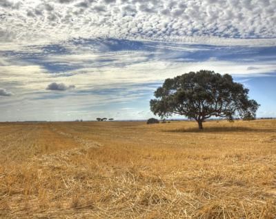 Associação reclama ajudas específicas para agricultores do Nordeste Transmontano