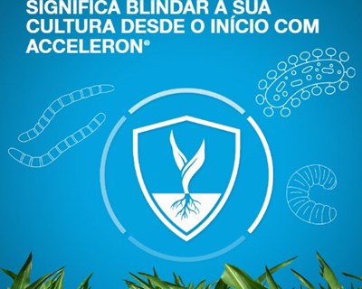 Atival Dekalb significa blindar a sua cultura desde o início com Acceleron