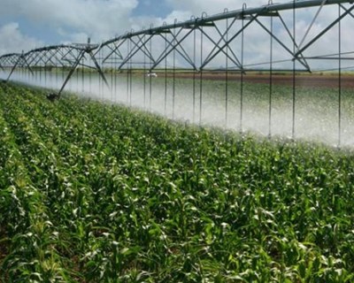 Audiência da Comissão de Agricultura e Mar da Assembleia da República com presença da UÉ