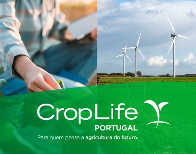 Aumento da recolha de embalagens de plástico