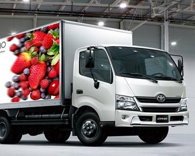 "Autocarro Regional" para Pequenos Frutos
