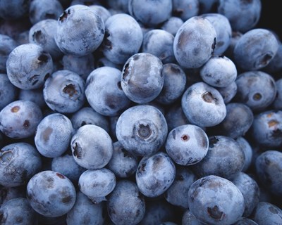 “Bagas de Portugal” promove seminário dedicado aos produtores de pequenos frutos