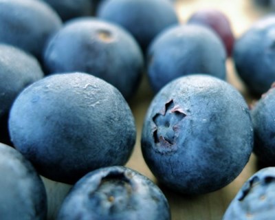 “Bagas de Portugal” quer promover gestão sustentável da produção de mirtilos