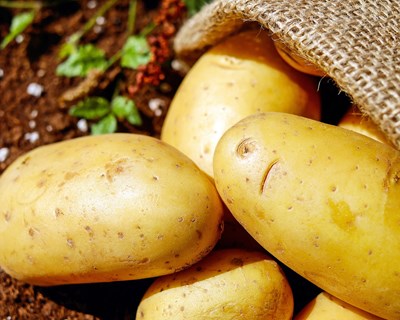 Balanço da campanha da batata 2021