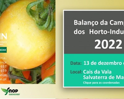 Balanço de campanha dos horto-Industriais a 13 de dezembro