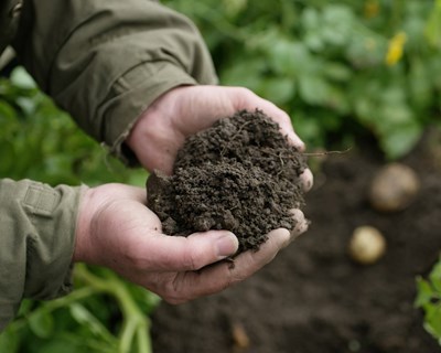 BASF | Programa Global de Carbono na agricultura