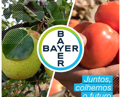 Bayer Crop Science Portugal chega às redes sociais