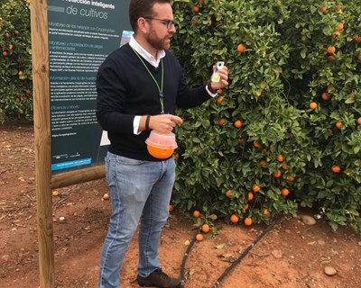 Bayer Forward Farming: inovação e tradição de mãos dadas