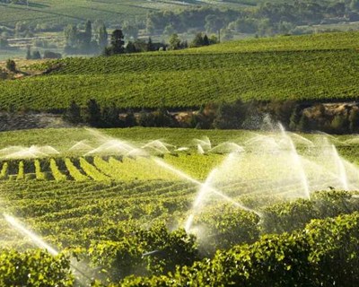 Beja discute “sistemas de apoio à decisão na agricultura de regadio”