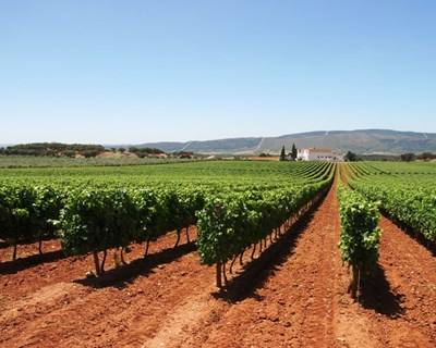 Beja é palco da I edição das Jornadas Técnicas da Escola Superior Agrária