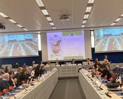 Best Practices Hens, um projeto para sistemas alternativos de produção de ovos, realizou conferência final em Bruxelas