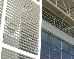 Biocant estuda microbioma natural presente na videira