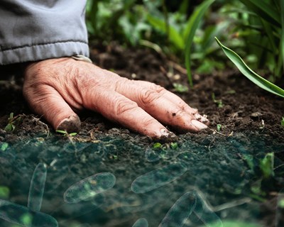 Bioiberica lança o novo probiótico bioestimulante Terra-Sorb radicular SymBiotic® para otimização da fertilização