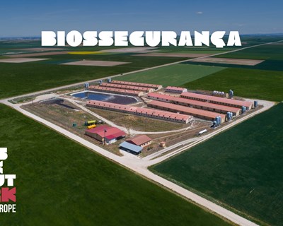 Biossegurança das explorações portuguesas é de 72,4%