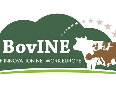 BovINE - O projeto que irá beneficiar a criação de gado europeia