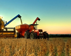 Brasil: PIB do Agronegócio deve crescer 4% este ano