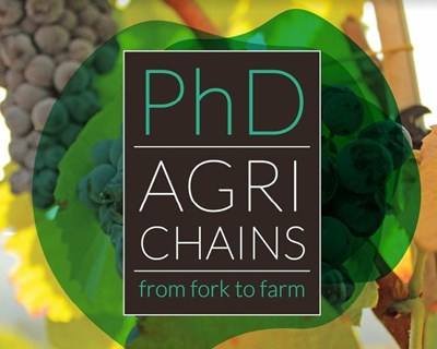 Candidaturas ao Programa Cadeias de Produção Agrícola até 23 de setembro