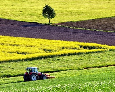 CarboFarmHub, um projeto Erasmus+ que promove redes de conhecimento transfronteiriças