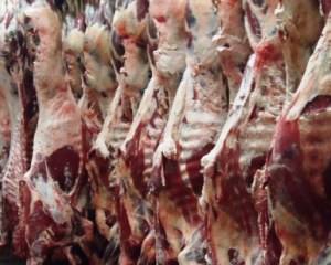 Carne Bovina: sabe verdadeiramente o que está a comer?