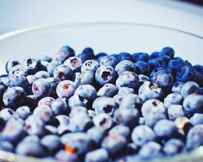 Carsol Fruit Portugal investe 54 milhões na produção de mirtilos de Alcácer do Sal