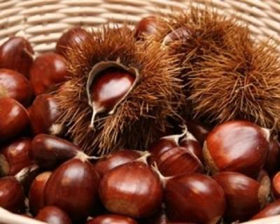 Castanha: empresários afirmam que preço desceu para valores "normais"