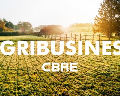 CBRE cria linha de negócio para o setor agrícola na Europa