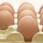 CE prevê redução da produção de ovos na UE em 2014