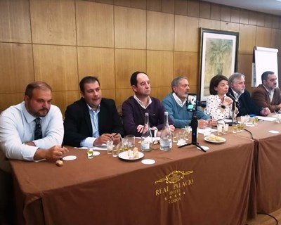 Celebrar o azeite português