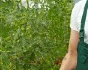Cerca de 130 mil pequenos agricultores poderão beneficiar de novo regime do IVA