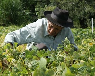 Cerca de 3.500 agricultores já aderiram ao IVA forfetário
