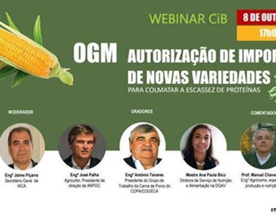 CiB promove novo webinar sobre autorizações de novas variedades GM