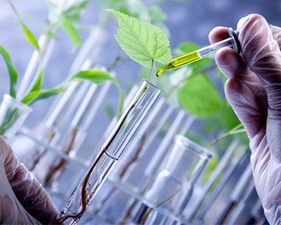 CiB realiza webinar sobre utilização da edição genética na medicina e nos alimentos