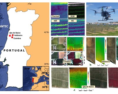 Cientistas da Universidade de Coimbra testam novos sistemas inteligentes de monitorização de vinhas