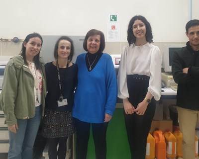 Cientistas usam resíduos de plantas invasoras para desenvolver condicionador de cabelo amigo do ambiente