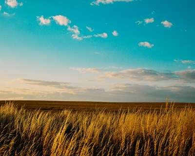 Cimeira Nacional de Agricultura 2018 chega a 29 de outubro