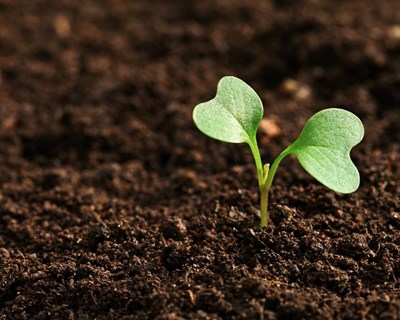 Cimeira Nacional “Inovação na Agricultura” a 29 de outubro