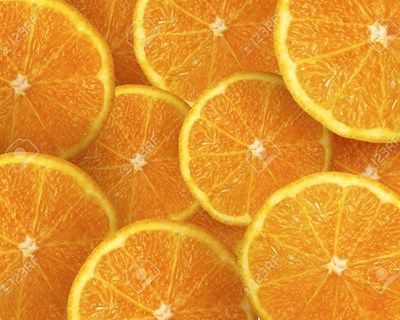 Citrinos em modo de produção biológico - tecnologia de produção e qualidade do fruto