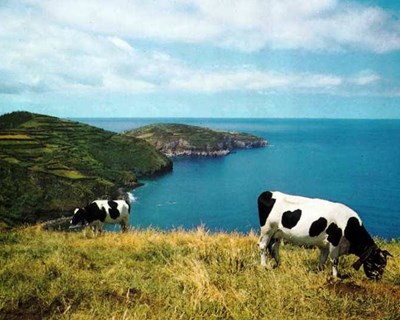 Clima poderá obrigar a mudanças na agropecuária